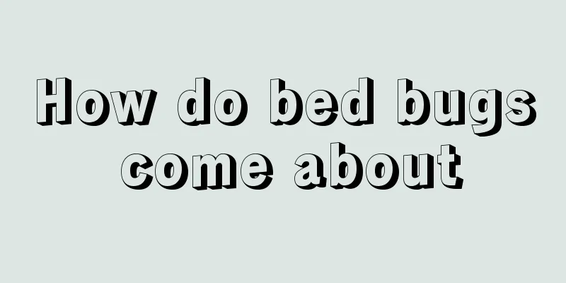 How do bed bugs come about