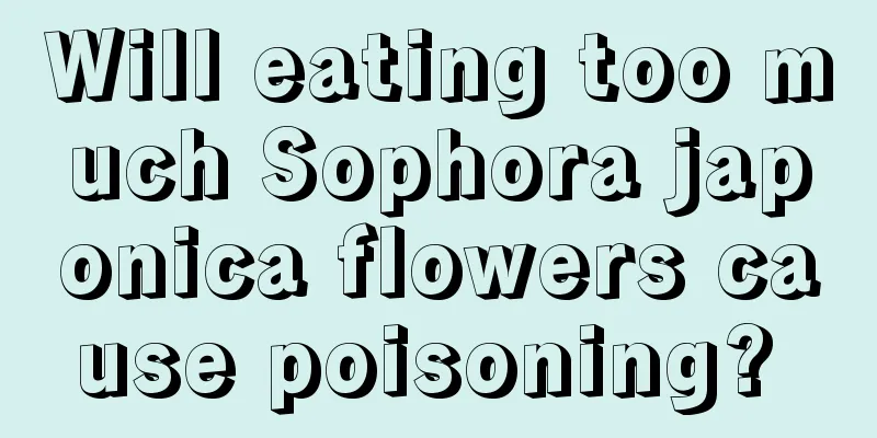 Will eating too much Sophora japonica flowers cause poisoning? 