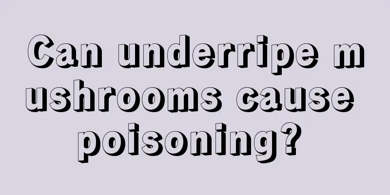Can underripe mushrooms cause poisoning? 
