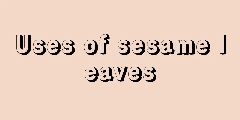 Uses of sesame leaves