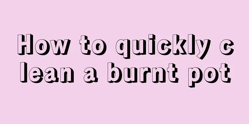 How to quickly clean a burnt pot
