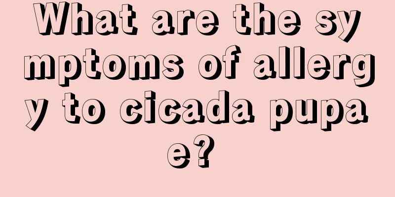 What are the symptoms of allergy to cicada pupae? 