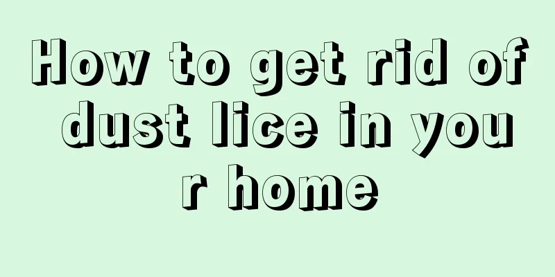 How to get rid of dust lice in your home