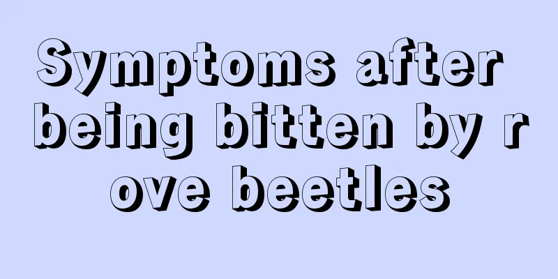 Symptoms after being bitten by rove beetles