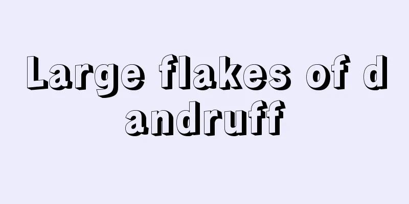 Large flakes of dandruff