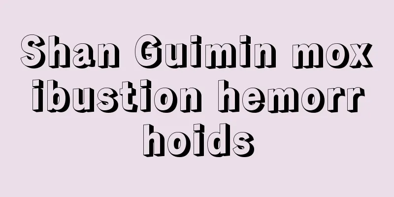 Shan Guimin moxibustion hemorrhoids