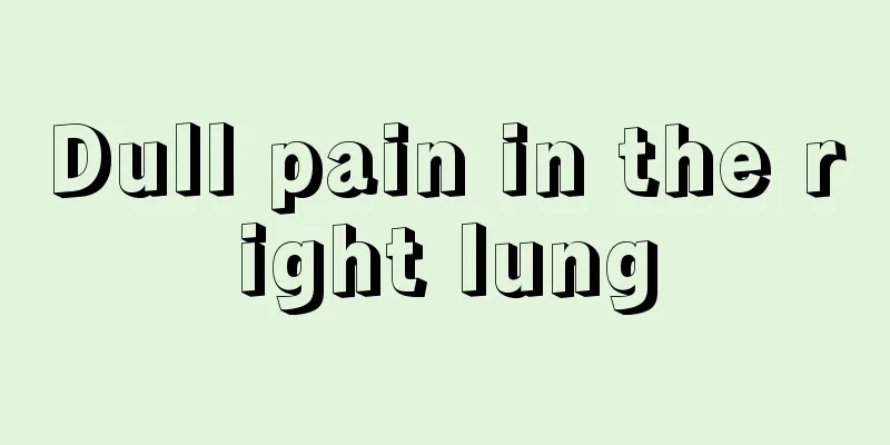 Dull pain in the right lung