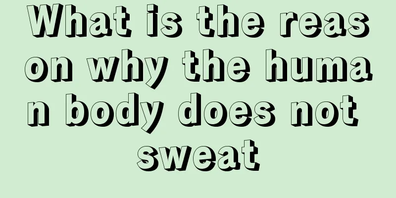 What is the reason why the human body does not sweat