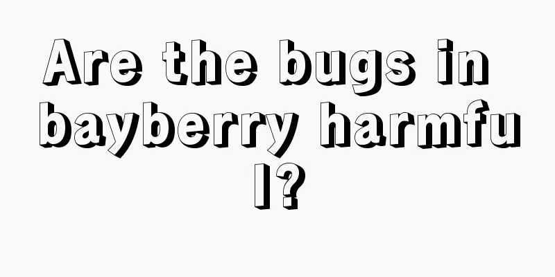 Are the bugs in bayberry harmful?
