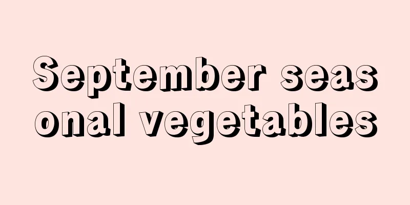 September seasonal vegetables