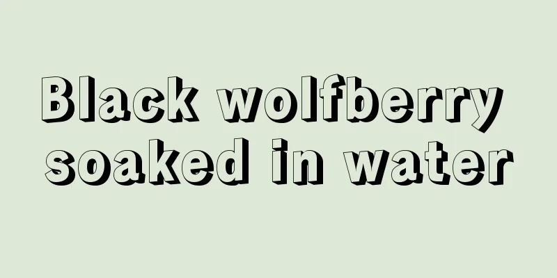Black wolfberry soaked in water