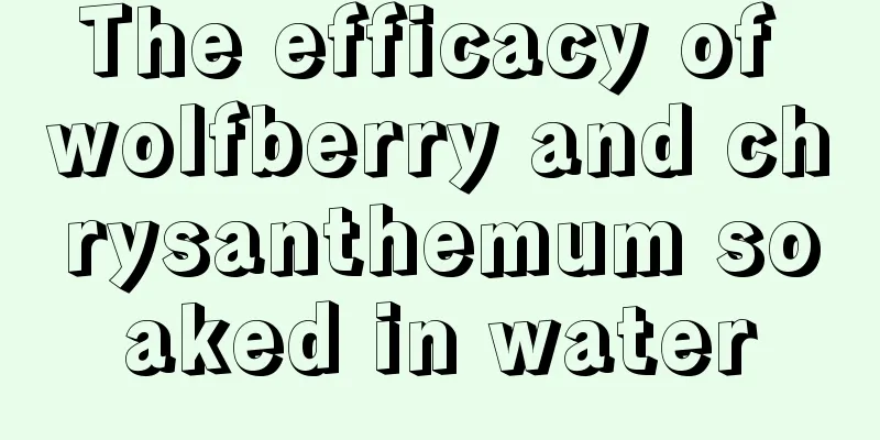 The efficacy of wolfberry and chrysanthemum soaked in water