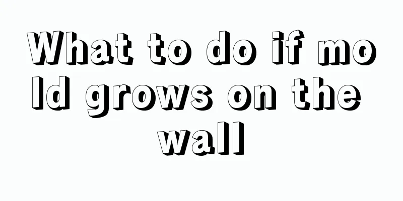 What to do if mold grows on the wall