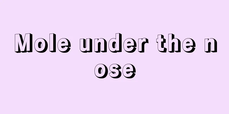Mole under the nose