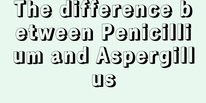The difference between Penicillium and Aspergillus