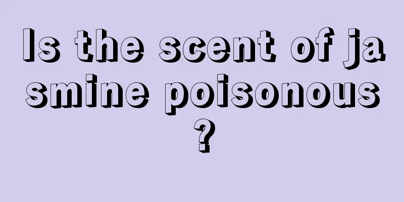 Is the scent of jasmine poisonous?
