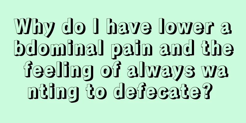 Why do I have lower abdominal pain and the feeling of always wanting to defecate? 