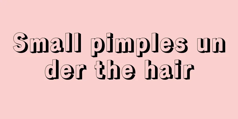 Small pimples under the hair