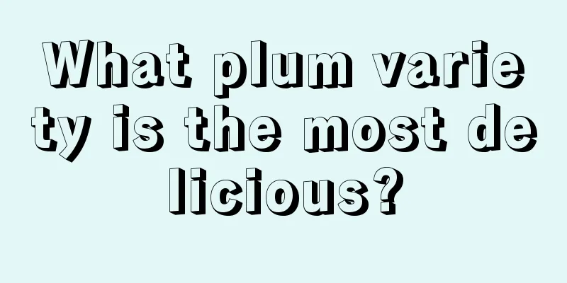 What plum variety is the most delicious?