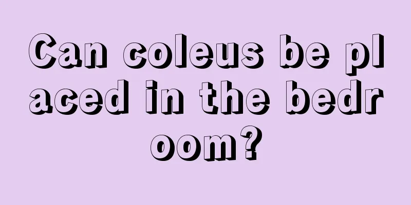 Can coleus be placed in the bedroom?