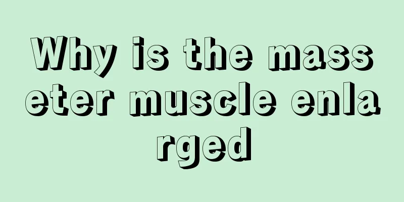Why is the masseter muscle enlarged