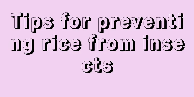 Tips for preventing rice from insects
