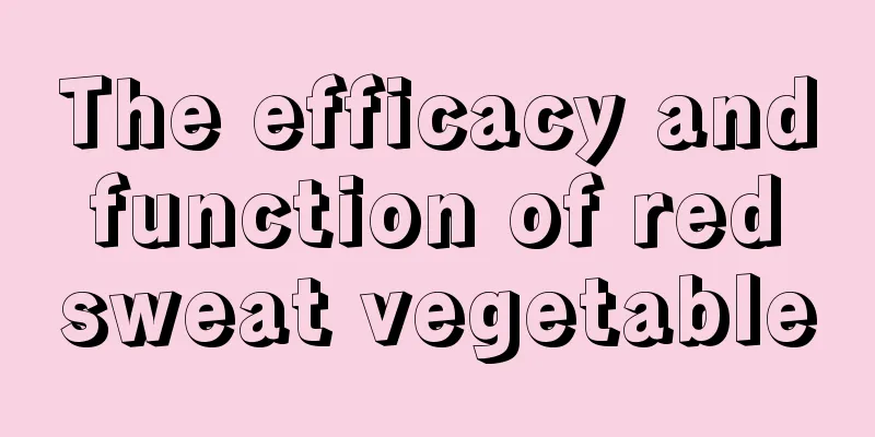 The efficacy and function of red sweat vegetable