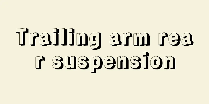 Trailing arm rear suspension