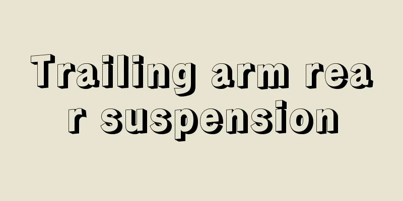 Trailing arm rear suspension