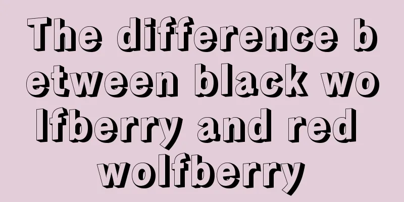 The difference between black wolfberry and red wolfberry