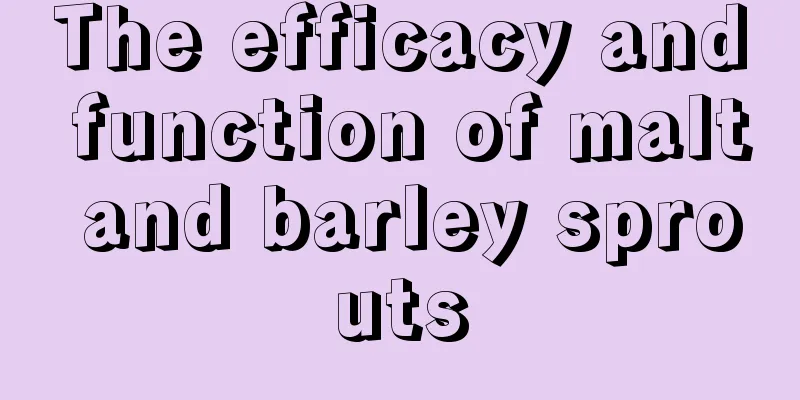The efficacy and function of malt and barley sprouts