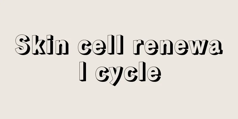 Skin cell renewal cycle