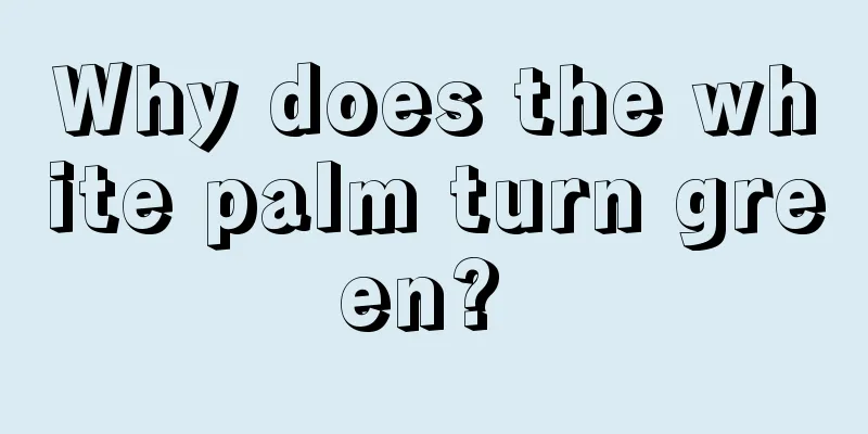 Why does the white palm turn green? 