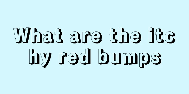 What are the itchy red bumps