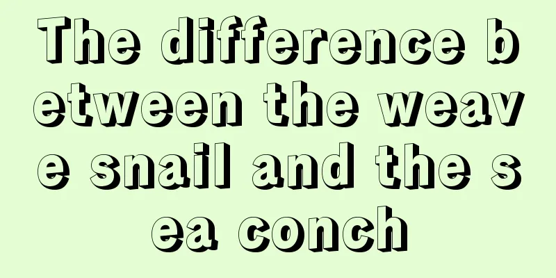 The difference between the weave snail and the sea conch