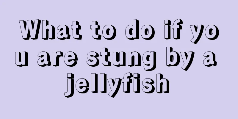 What to do if you are stung by a jellyfish