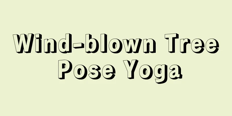 Wind-blown Tree Pose Yoga