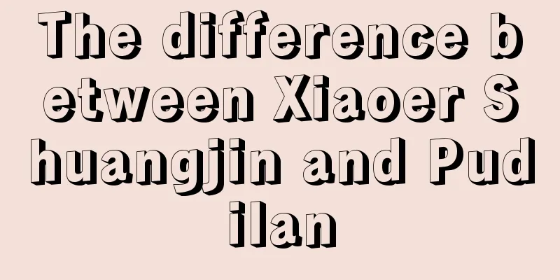The difference between Xiaoer Shuangjin and Pudilan
