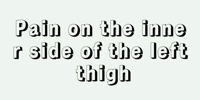 Pain on the inner side of the left thigh