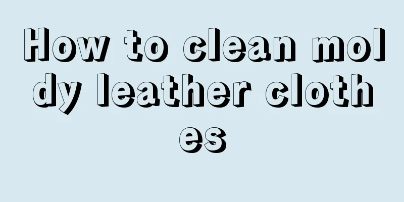 How to clean moldy leather clothes