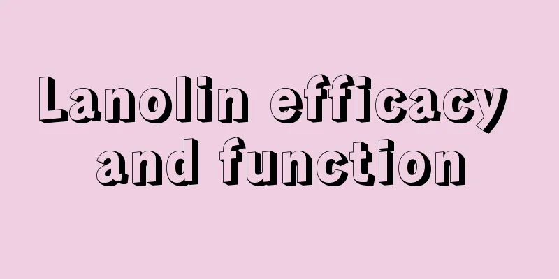 Lanolin efficacy and function