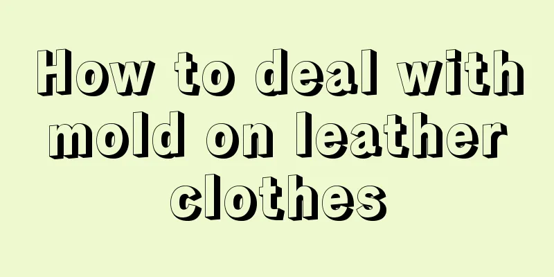 How to deal with mold on leather clothes
