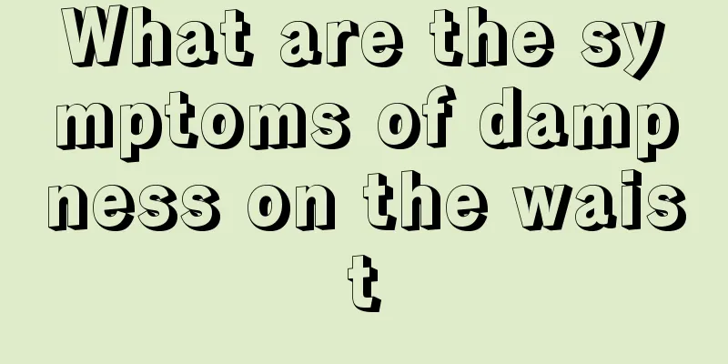 What are the symptoms of dampness on the waist