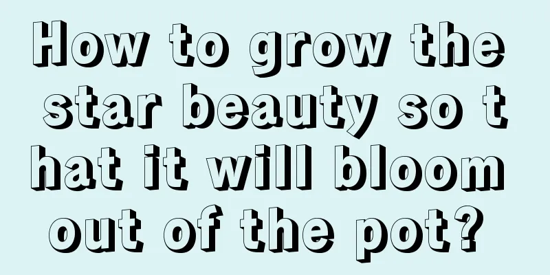 How to grow the star beauty so that it will bloom out of the pot? 