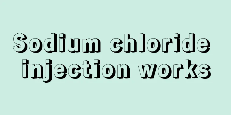 Sodium chloride injection works