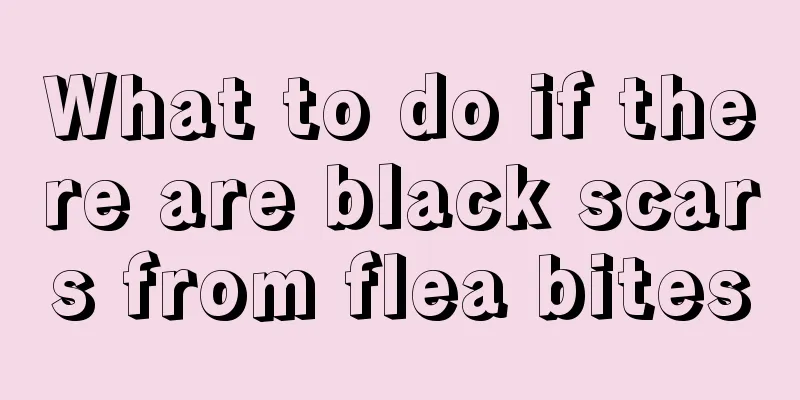 What to do if there are black scars from flea bites