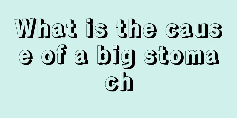 What is the cause of a big stomach