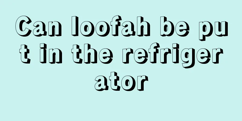 Can loofah be put in the refrigerator