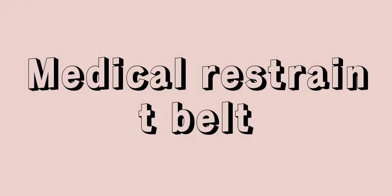 Medical restraint belt
