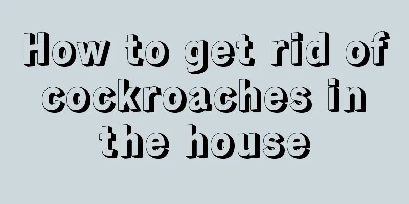 How to get rid of cockroaches in the house